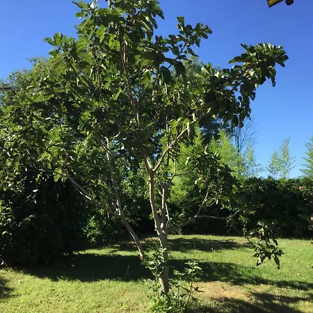 Gite Pompertuzat 別荘